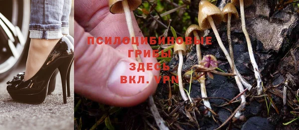 Альфа ПВП Протвино