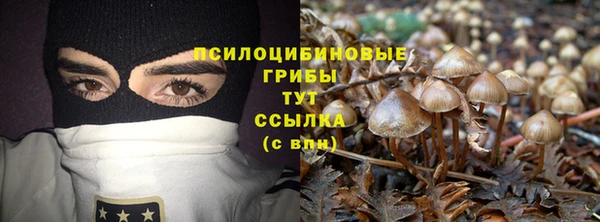 jwh Арсеньев