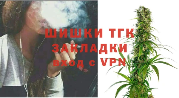 шишки Армянск