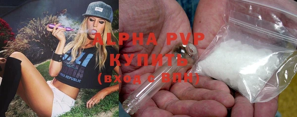 шишки Армянск