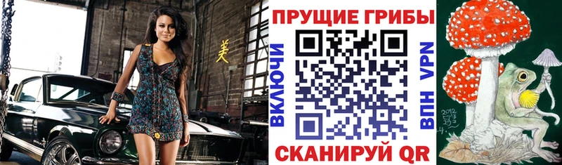 Псилоцибиновые грибы мухоморы  закладка  Рузаевка 